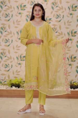Olive Green Embroidered Straight Kurta Set with Organza Dupatta